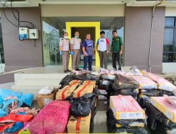 Ribuan Kilogram Daging Babi dan Kerbau Ilegal di Jalur Tikus Entikong Diamankan Aparat Gabungan