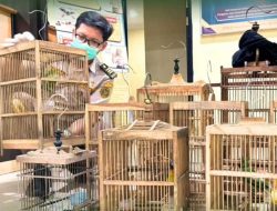 Peringatan Bagi Ekspedisi! Karantina Kalbar Amankan 1,6 Ton Telur, Kulit Sapi dan Burung di Pelabuhan Dwikora