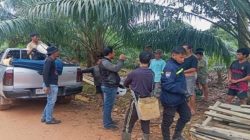 Pengecekan Lokasi PETI di Mondi: Air Kembali Jernih, Warga Ancam Sanksi Adat Bagi Penambang Ilegal