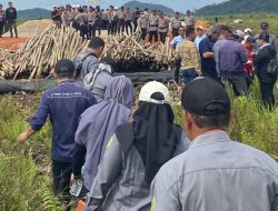 PN Mempawah Eksekusi Lahan 5.652 Meter Persegi di Jalur IPPKH PT ANTAM Sungai Kunyit