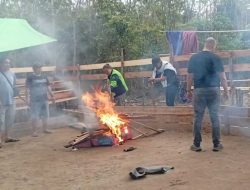 Bantah Bekingi Judi, Kapolsek Tempunak Iptu Rudi Simanjuntak Ratakan Arena Sabung Ayam