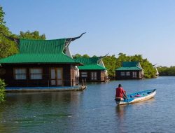 Kementerian Kehutanan Luncurkan MANDARA, Satu Pintu Data Mangrove Nasional