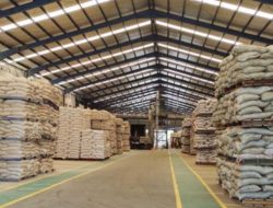 Harga Pakan Ternak Turun, Kementan: Biaya Produksi Peternak Bisa Lebih Efisien