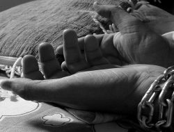 Polisi Bongkar Jaringan TPPO, Gagalkan Pengiriman Korban ke Kamboja dan Manokwari