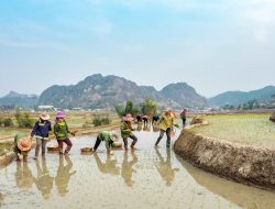 Mentan Amran Ajak Generasi Muda Terjun ke Pertanian, Kementan Siapkan Bibit dan Pupuk Gratis