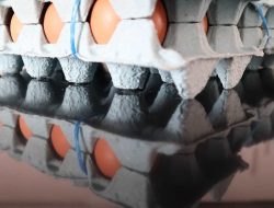 Industri Mamin Bidik Efisiensi dan Ramah Lingkungan Melalui Kemasan Kertas Aseptik