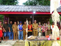 Syukuran Hasil Panen, Masyarakat Bengkayang Gelar Tradisi Ngatek Kaja’ Pade Berstatus “Bapuji Ka Nyabata”