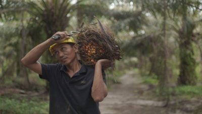 Ekspor CPO RI Tembus Rp75 Triliun Awal 2026, Naik 26,4 Persen