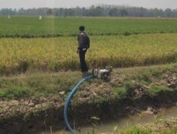 Kementan Siap Hadapi El Nino Ekstrem, 80 Ribu Pompa Air Dioptimalkan