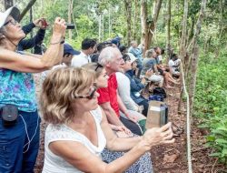 Enam Destinasi Wisata Hutan Indonesia yang Wajib Dikunjungi