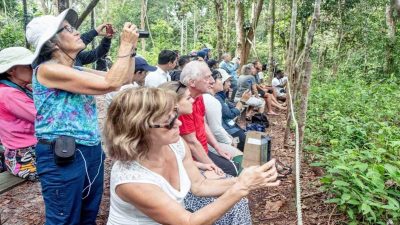Enam Destinasi Wisata Hutan Indonesia yang Wajib Dikunjungi