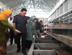 Mendag Budi Santoso Tinjau Budidaya Maggot, Dorong Ekonomi Sirkular