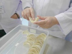 Kemendag Genjot Pemulihan Ekspor Sarang Burung Walet ke China Usai Suspensi 18 Perusahaan