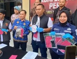 Polisi Bongkar Perdagangan Trenggiling, Dua Buruh Ditangkap
