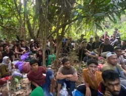 Polisi Gagalkan Penyelundupan 56 PMI Ilegal ke Malaysia via Dumai, Diduga Terkait TPPO