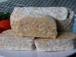 Ekspor Tempe RI Tembus Chile, Nilai Kerja Sama Rp2,1 Miliar