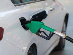 Pemerintah Percepat Hilirisasi Perkebunan, Targetkan Kemandirian Energi Nasional