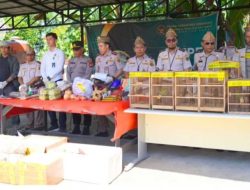Karantina Kalbar Tindak Tegas Penyelundupan di Pelabuhan Dwikora: Ratusan Burung dan Puluhan Kilo Daging Disita