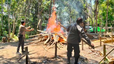 Dua Kelang Sabung Ayam dan Judi Kolok-Kolok di Kapuas Hulu Dibakar Polisi