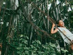 DPR Dorong Pasar Karbon Global, Indonesia Bidik Hutan Jadi Aset Investasi Hijau
