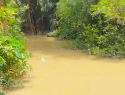 Wisata Riam Sebopet Rusak, Pemkab Bengkayang Abaikan PETI Satu Kilometer dari Kantor Bupati