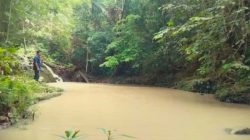 Dilema Penertiban PETI Riam Sebopet, Kadis LH Bengkayang Sebut Masalah Perut Jadi Kendala