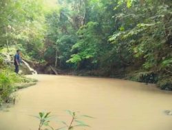 Riam Sebopet Keruh Pekat Bak Air Susu, Warga Bengkayang Desak Penertiban Tambang Ilegal
