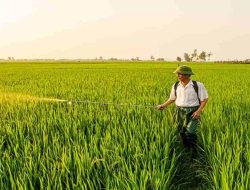 Mentan Amran Ajak Lulusan ITS Jadi Motor Inovasi Pertanian, Target Stop Impor Solar 2026