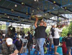 Pertumbuhan Ekonomi dari Hobi, Lomba Burung Kicau Sumbang Hingga Rp2 Triliun