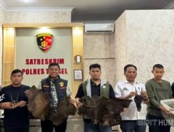 Polisi Bongkar Perdagangan Satwa Dilindungi dan Sita 4,7 Kg Sisik Trenggiling