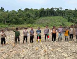 Sinergi Polisi dan Petani di Toba Sanggau Tanam Jagung 2 Hektare Dukung Ketahanan Pangan