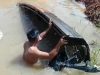 Pria Pencari Rotan Hilang di Sungai Kapuas Sanggau, Speed Air Ditemukan Terbalik