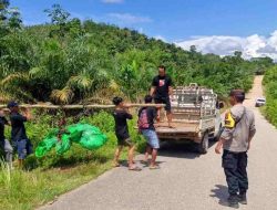 Lansia Hilang Sepekan Ditemukan Meninggal di Sungai Remoncok Sanggau