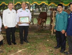 Kemenag Kalbar Serahkan Hewan Kurban ke Masjid Raya Mujahidin Pontianak, Perkuat Semangat Berbagi Idul Adha