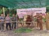 Sapi Metal Kurban Presiden Berbobot 1 Ton Lebih Diserahkan ke Masjid Al-Fattah Singkawang