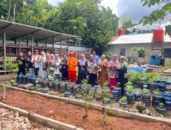 Apimsa Kalbar Tinjau Integrated Farming Pondok Khadijah, Dorong Santri Jadi Agropreneur Masa Depan