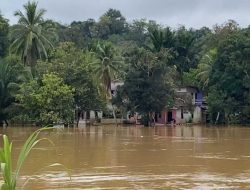 Curah Hujan Tinggi Picu Banjir di Lima Kecamatan, Wakil Bupati Landak Turun Pantau Lokasi