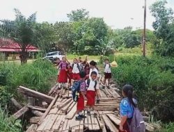 Jeritan Anak Sekolah di Dusun Jelayan Viral, Minta Pemerintah Landak Perbaiki Jembatan Rusak