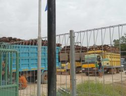 PT MPL Tunggak Pajak BPHTB Rp19,7 Miliar, Komisi II DPRD Sekadau Desak Segera Dilunasi