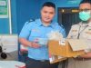 Karantina Kalbar Gagalkan Penyelundupan Semut Gajah di Bandara Supadio