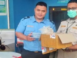 Karantina Kalbar Gagalkan Penyelundupan Semut Gajah di Bandara Supadio