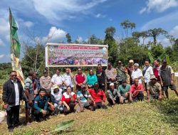 Dihantam Kemarau Panjang, BUMDes Hilir Kantor Tetap Sukses Gelar Panen Perdana 2 Ton Jagung