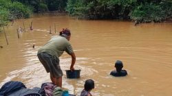 Sungai Sekayu dan Tayan Tercemar Parah, Aliansi Masyarakat Tayan Hulu Tegas Tolak PETI
