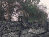 Hotspot Terdeteksi di Bonti Sanggau, Polisi Temukan Lahan 0,7 Hektare Bekas Terbakar