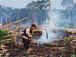 Polda Kalbar Ingatkan Ancaman Karhutla Meski Hujan Diprakirakan Turun, Warga Diminta Tak Bakar Lahan