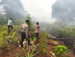 Karhutla Nyaris Hanguskan Rumah di Komplek Fajar Asri 6, Warga Sempat Dievakuasi Imbas Asap Pekat