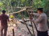 Arena Sabung Ayam Berkedok Adat di Hutan Kapuas Hulu Dibakar Polisi, Ternyata Pernah Ditindak
