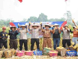 Dari Eks-PETI Jadi Lahan Jagung, Bengkayang Panen 5 Ton di Lahan Bekas Tambang