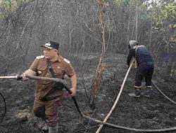 Dua Titik Api Muncul di Kebun Gaharu Singkawang, Dua Hektare Lahan Terbakar