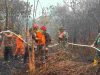 Dua Hektare Lahan Gambut Terbakar di Singkawang Utara, Tim Gabungan Berjibaku Cegah Api Meluas